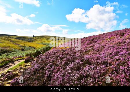 Wuthering Heights, pays du Bronte, Haworth Banque D'Images