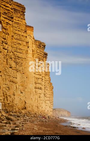 Les falaises de la baie Ouest, Dorset Banque D'Images