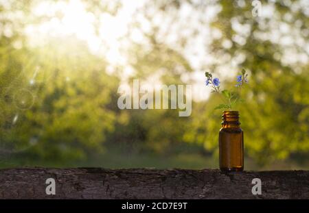 Les huiles essentielles et les herbes de fleurs médicales - copyspeace pour le texte. Banque D'Images