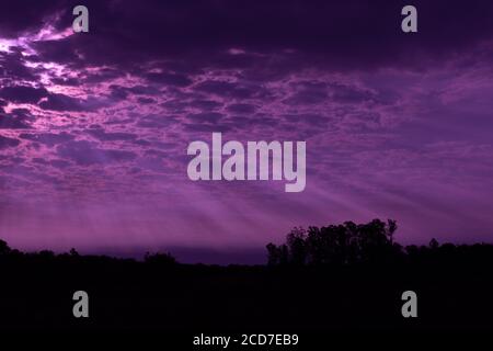 Soirée dans la région du Pampa Biome. En fin d'après-midi dans le sud du Brésil. Ciel spectaculaire. Couleurs et teintes. Coucher de soleil et fin d'après-midi. Poésie et Banque D'Images