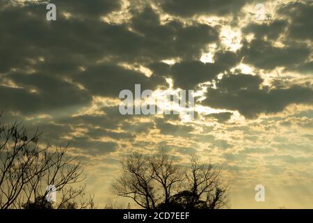 Soirée dans la région du Pampa Biome. En fin d'après-midi dans le sud du Brésil. Ciel spectaculaire. Couleurs et teintes. Coucher de soleil et fin d'après-midi. Poésie et Banque D'Images