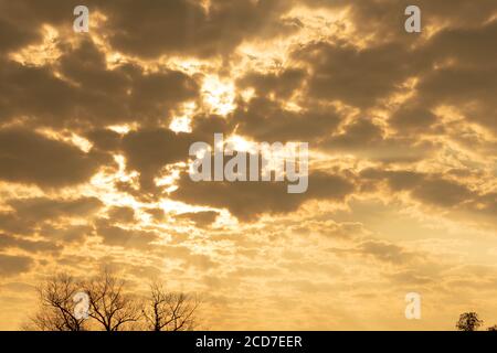 Soirée dans la région du Pampa Biome. En fin d'après-midi dans le sud du Brésil. Ciel spectaculaire. Couleurs et teintes. Coucher de soleil et fin d'après-midi. Poésie et Banque D'Images