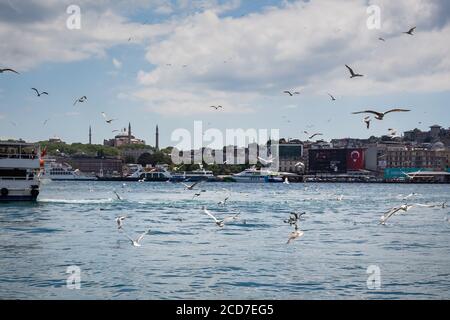 ISTANBUL / TURQUIE - 07.17.2020: Une enquête de mouettes survolant la Corne d'Or (Halic), les ferries, les bateaux et la mosquée Sainte-Sophie (Ayasofya) dans la Banque D'Images