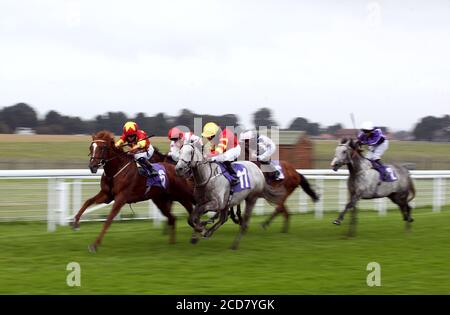 Harrison point, monté par le jockey Hollie Doyle (à gauche), remporte le William Hill Best Odds Guaranteed handicap, devant Zip et Tony Hamilton (n°11) à l'hippodrome Beverley. Banque D'Images