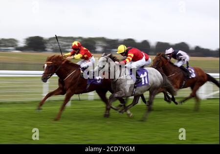 Harrison point, monté par le jockey Hollie Doyle (à gauche), remporte le William Hill Best Odds Guaranteed handicap, devant Zip et Tony Hamilton (n°11) à l'hippodrome Beverley. Banque D'Images