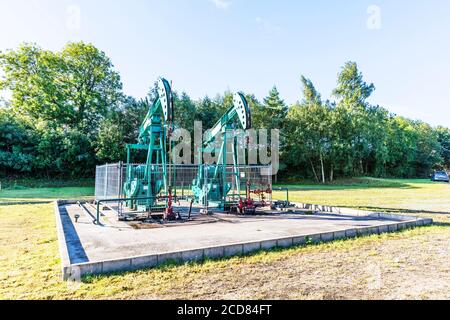 Production de pétrole brut, pétrole onshore, pétrole brut, production de pétrole, champ pétrolifère onshore, champ pétrolifère, pompe à poutre, pompes à poutre, ânes de hochement, âne de hochement Banque D'Images