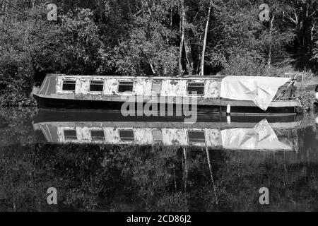 Ce vieux bateau a vu de meilleurs jours, et est maintenant amarré le long de la belle navigation de Wey à Surrey Banque D'Images