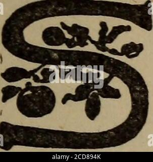 . Oeufs: Faits et fantaisies à leur sujet. hej^olks sont utilisés, l'huile donnant à l'enfant la douceur si estimée dans les gants, un oeuf étant utilisépour chaque peau. La valeur des oeufs pour clarifier les substances variouseuses est connue depuis longtemps par l'entrée, en l'an 1350, dans les livres de ménage de la Cour française, d'oeufs à la clarifySugar. À l'heure actuelle en France, les vignerons utilisent quatre-vingt millions par an. Il y a une utilisation légitime pour les mauvais oeufs, bien que l'association naturelle des idées les relient 76 ABTS ET MANTJFACTUBES, seulement avec des émeutes. Certaines entreprises font une entreprise de la collecte des oeufs anciens fr Banque D'Images