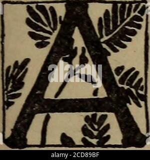 . Oeufs: Faits et fantaisies à leur sujet . ET T PBESEBVATION DES ŒUFS. 67. CONSERVATION DES OEUFS. L'IR et la chaleur sont les deux principaux agentsin la décomposition des oeufs, comme des substances d'origine animale. Presque tout ce qui exclura l'air de l'oeuf aidera à sa conservation, à condition qu'il soit conservé dans un endroit frais et en position debout, de sorte que le jaune ne doit pas adhérer à la coquille. Il n'est généralement pas souhaitable de préserver les aubergines pour les marchés, puisque l'article frais alwaysapporte de meilleurs prix; mais la maison frugal keeperswhen oeufs sont bas dans le prix majr fournissent une couche supérieure pour l'utilisation en hiver quand les prix du marché font Banque D'Images