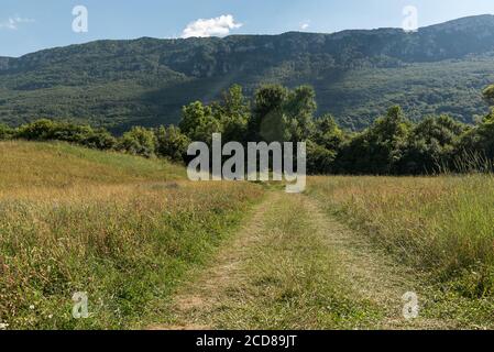 Virage de la voie de campagne - route de campagne dans les arbres environnants et l'herbe Banque D'Images