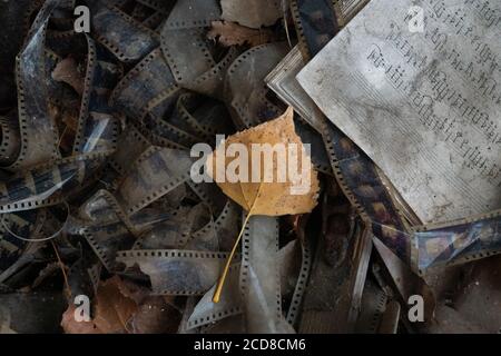 Feuille jaune parmi une ancienne bande de film et un livre de musique dans l'école de la ville de Pripyat, zone d'exclusion de Tchernobyl, Ukraine Banque D'Images