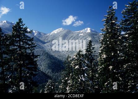 Vue depuis Hurricane Ridge Road en hiver, parc national olympique, Washington Banque D'Images