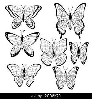 Papillon Set graphique noir blanc isolé esquisse vecteur d'illustration Illustration de Vecteur
