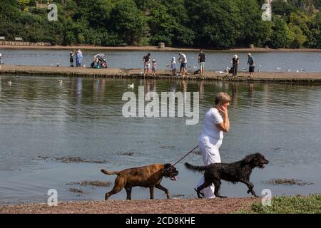 Stoke Gabriel, situé sur une crique de la rivière Dart, populaire auprès des touristes de pêche au crabe, South Devon, Angleterre, Royaume-Uni Banque D'Images