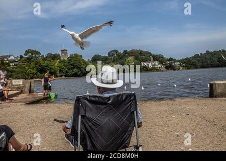 Stoke Gabriel, situé sur une crique de la rivière Dart, populaire auprès des touristes de pêche au crabe, South Devon, Angleterre, Royaume-Uni Banque D'Images