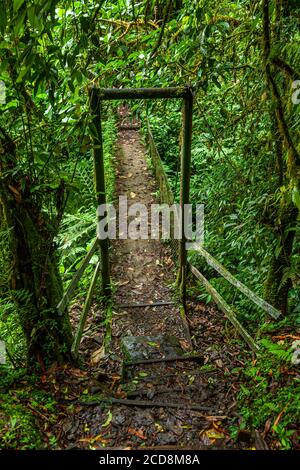 Vieux pont dans le parc national de Tapanti près d'Orosi, Costa Rica Banque D'Images