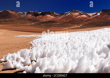 Bolivie - les plus belles Andes de l'Amérique du Sud. Le paysage est presque surréaliste, sans arbres, ponctué par de douces collines et volcans chiliens près de Banque D'Images