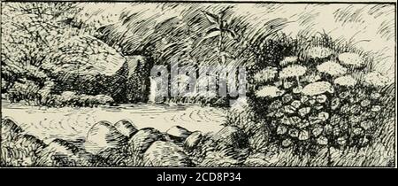 . Pelouses et jardins. Comment planter et embellir le lot de maison, le terrain de plaisir et le jardin . , ou la puissante rivière sur les rives dont les bosquets et les prairies se mêlent; le cascadedu rivulet près de sa source, ou l'irrésistible cataracte se jetant avec un roar déferrant dans la profondeur; themountain source ou le lac dans la vallée, pour chacun est beau-tiful à sa façon. La végétation du bord de la rivière est généralement exceptionnelle-Ally belle et intéressante, peut-être parce que là le sur le stuov? De Scenerg naturel. 25 les conditions de croissance et de développement sont si généreuses. Sur la rivière Banque D'Images