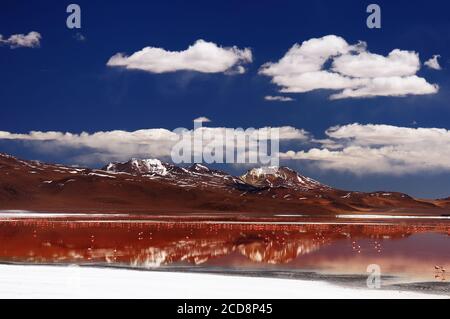 Bolivie - les plus belles Andes de l'Amérique du Sud. Le paysage est presque surréaliste, sans arbres, ponctué par de douces collines et volcans chiliens près de Banque D'Images