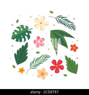 Collection de fleurs et de feuilles d'été. Motif été coloré. Illustration sans pinces Banque D'Images