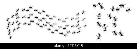 jeu de chenilles ant isolé sur fond blanc Illustration vectorielle Illustration de Vecteur