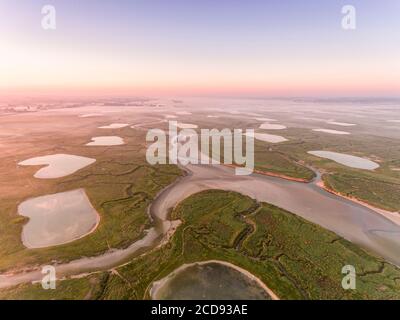 France, somme, Baie de somme, Noyelles-sur-mer, les prés salés de la Baie de somme en début de matinée avec les canaux et les étangs de huttes de chasse, un peu de brume (vue aérienne) Banque D'Images