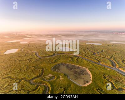 France, somme, Baie de somme, Noyelles-sur-mer, les prés salés de la Baie de somme en début de matinée avec les canaux et les étangs de huttes de chasse, un peu de brume (vue aérienne) Banque D'Images