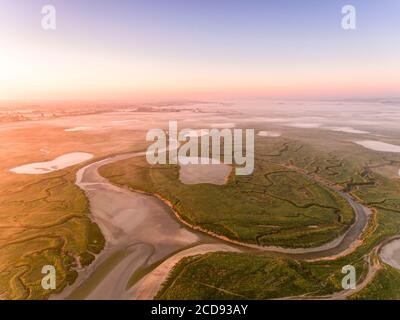 France, somme, Baie de somme, Noyelles-sur-mer, les prés salés de la Baie de somme en début de matinée avec les canaux et les étangs de huttes de chasse, un peu de brume (vue aérienne) Banque D'Images