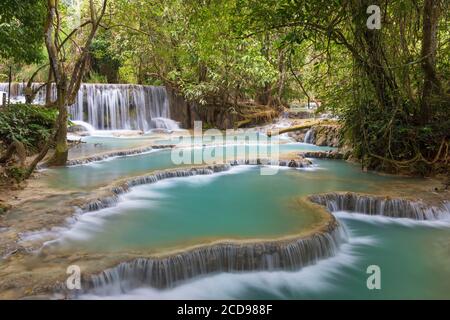 Laos, province de Luang Prabang, chute de Kuang si Banque D'Images
