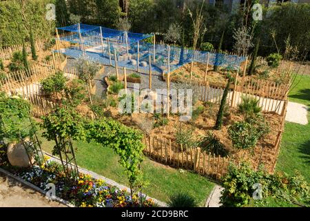 France, Alpes Maritimes, Grasse, Festival des Jardins de la Côte d'Azur 2019, jardin des plantes méditerranéennes par Livia Kolb et Robin Chouleur Banque D'Images