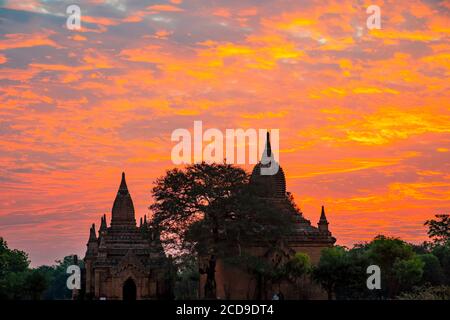 Myanmar (Birmanie), région de Mandalay, site archéologique bouddhiste de Bagan classé au patrimoine mondial de l'UNESCO, temple Ananda pahto Banque D'Images