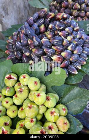 Maroc, région de Tanger Tétouan, Tanger, stand de figues blanches et rouges dans le souk Banque D'Images