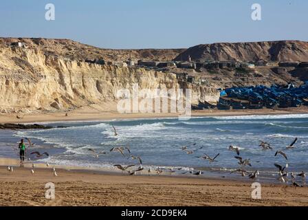 Maroc, Sahara occidental, Dakhla, femme se promenant sur la plage d'Araiche au milieu des oiseaux de mer, avec des bateaux et un village de pêcheurs dans le creux d'une falaise en arrière-plan Banque D'Images