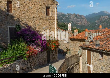 France, Corse du Sud, Porto, Golfe de Porto classé au patrimoine mondial de l'UNESCO, village perché d'Ota Banque D'Images