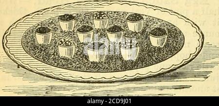 . Dictionnaire de cuisine de Cassell : contenant environ neuf mille recettes . Suffisant pour six cas. Vin d'oeuf.—faire bouillir ensemble dans un delicatesaucepane un ou deux verres de vin blanc, -avec la moitié de la quantité d'eau; sMceten au goût, et ajouter un peu de muscade. Battez bien dans un bassin ou deux œufs, avec une cuillerée d'eau froide pour chaque œuf; versez le vin bouillante très lentement dans le bassin, en remuant régulièrement tout le temps, puis retournez dans la casserole. Tenir le thésaucepan d'une main au-dessus du feu pendant une minute, et remuer ^vith l'autre. Ne faites pas bouillir le contenu, car vous en aurez l'embarras. Eggwine Banque D'Images