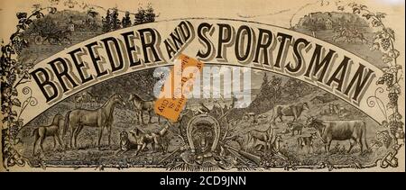 . Sélectionneur et sportif . FISHINGTackle 538 MARKET STREET, S. F. vous pouvez obtenir ces poudres sans fumée dans SELBY aKbd SH ELLS DU PONT FUSIL de CHASSE RIFLITE E. C. BIAXISTITE SCHULTZE LAIIN & RAND ACHIERNE INFALLIBLE que voulez-vous de plus? *&lt;*•*. VOL. XXIV. N° 14St GEAEY STREET. SAN FRANCISCO, LE SAMEDI 2 AVRIL 1904. ABONNEMENT TROIS DOLLARS UN IUE Banque D'Images