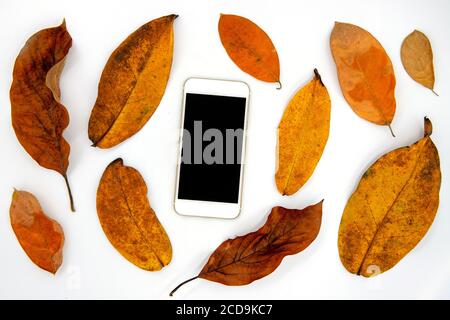 La feuille orange et le téléphone à écran noir se posent sur fond blanc. Maquette photo vue de dessus du smartphone. Toile de fond jaune rouge pour couverture saisonnière ou Banque D'Images