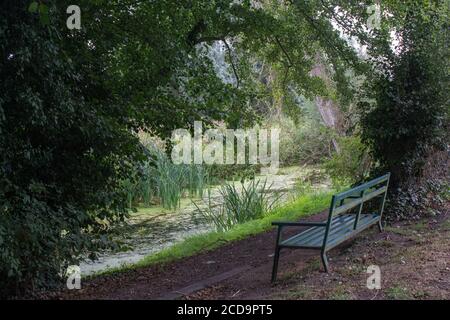 Banc le long de la New Reach, Halesworth Millennium Green, Halesworth, Suffolk, Angleterre Banque D'Images