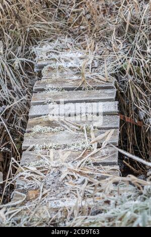 HAREID, NORVÈGE - 2016 NOVEMBRE 10. Cristaux de glace sur un petit pont en bois. Banque D'Images