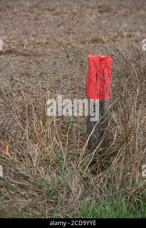 Plan vertical d'un piquet en bois avec peinture rouge accroc au sol, dans un champ Banque D'Images