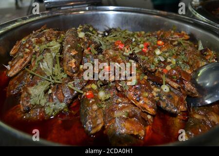 curry de poisson sous forme de buffet Banque D'Images