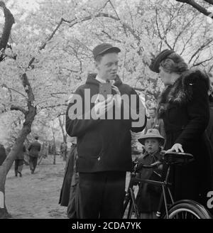 Un homme utilise un Kodak Brownie ou un appareil photo à boîtier similaire pour photographier les cerisiers en fleurs avec sa famille, 1943. Avec la permission de la Bibliothèque du Congrès. () Banque D'Images