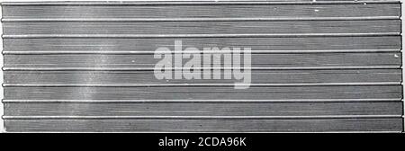 . Plafonds et parois latérales : N° de catalogue 60 . i plaque N° 565 Dimensions, 24 X 24 pouces. Design, 3 pouces, plusieurs mots de code—Melhund. Plaque n° 566 Sizer24 X 24 pouces. Design, 6 pouces, plusieurs mots de code—Melody. Plafonds ornés de perles fabriqués en feuilles d'une longueur maximale de 96 pouces et d'une largeur de 28 pouces. Les feuilles de perles sont utilisées en grande partie pour les entrepôts de plafond, et d'autres grands bâtiments, et sont fréquemment clouées directement aux poutrelles, faisant disparaître les planches de revêtement. Les perles de nos draps sont bien proportionnées, droites et précises. Figure 852 perles à 3 pouces l'une de l'autre. Une feuille de 30 pouces, lorsqu'elle est fabriquée en feuilles à perles, Banque D'Images