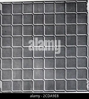 . Plafonds et murs latéraux : Catalogue no 60 . Plaques de plafond diverses. Banque D'Images