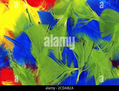 Papier d'arrière-plan à texture abstraite en plumes d'oiseau douces multicolores photo image photo Banque D'Images