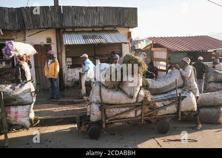 Fianarantsoa, Madagascar - 06 mai 2019: Inconnu Malgache homme poussant chariot avec sacs pleins de paille et d'herbe, à vendre sur le marché local sur la morn ensoleillée Banque D'Images