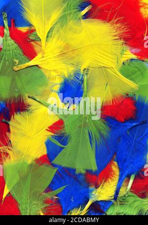 Papier d'arrière-plan à texture abstraite en plumes d'oiseau douces multicolores photo photo Banque D'Images