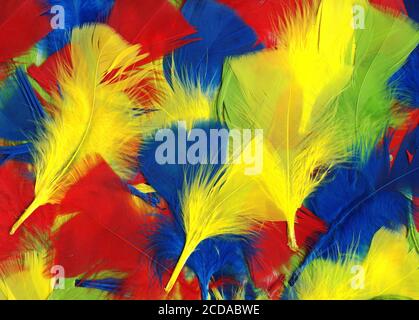 Papier d'arrière-plan à texture abstraite en plumes d'oiseau douces multicolores photo photo Banque D'Images