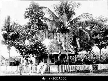 . La vie et l'aventure dans les Antilles; une suite à aventures à la recherche d'une vie en Espagne-Amérique . Ippication Canal, à trois kilomètres de Spanish Town et à quatorze kilomètres de Kingston. Maison sur Belmore Estate, avec Banana Plantation derrière. Banque D'Images