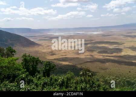 Vue panoramique sur le cratère et le bord de la zone de conservation de Ngorongoro, Tanzanie. Le lac Magadi est également visible Banque D'Images